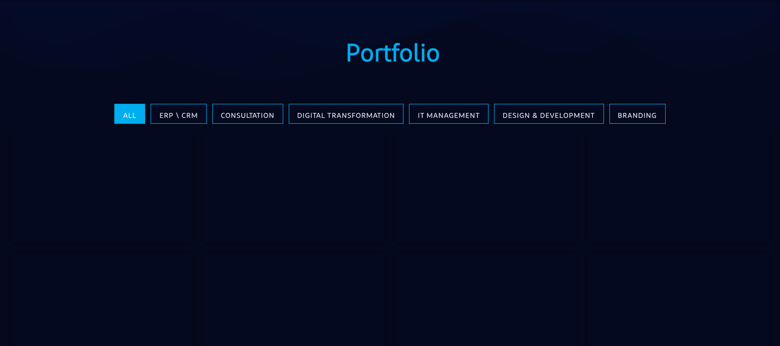Portfolio and service categories